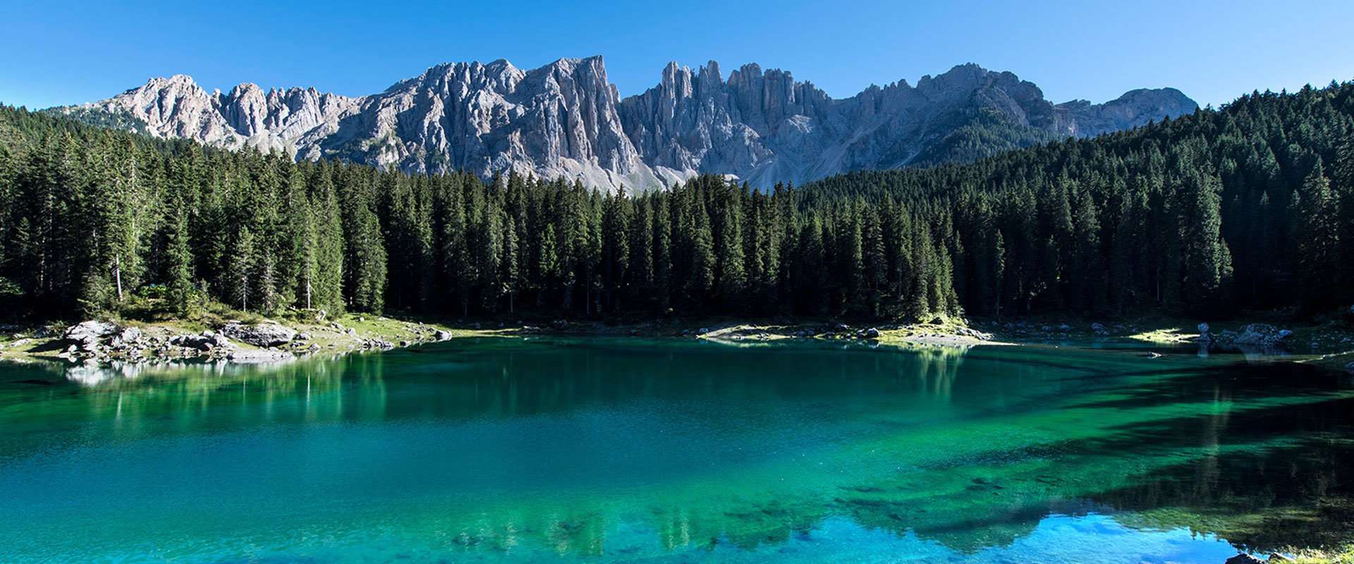 Lake Carezza beautiful in the Alps