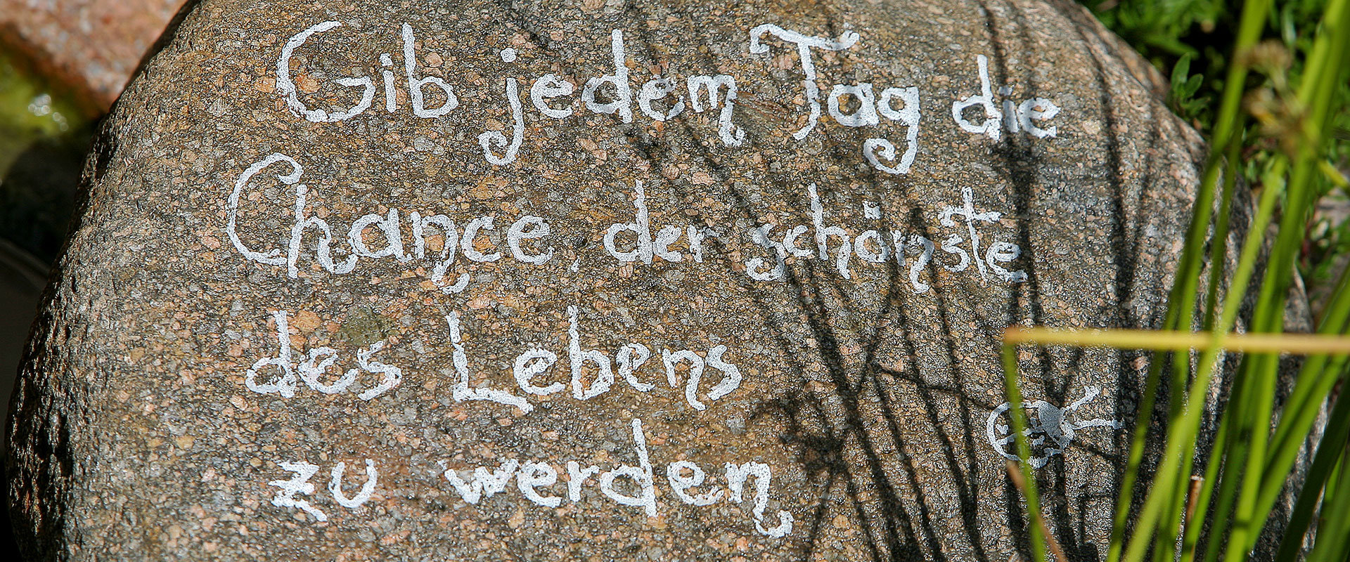 © 2025 Robatscher