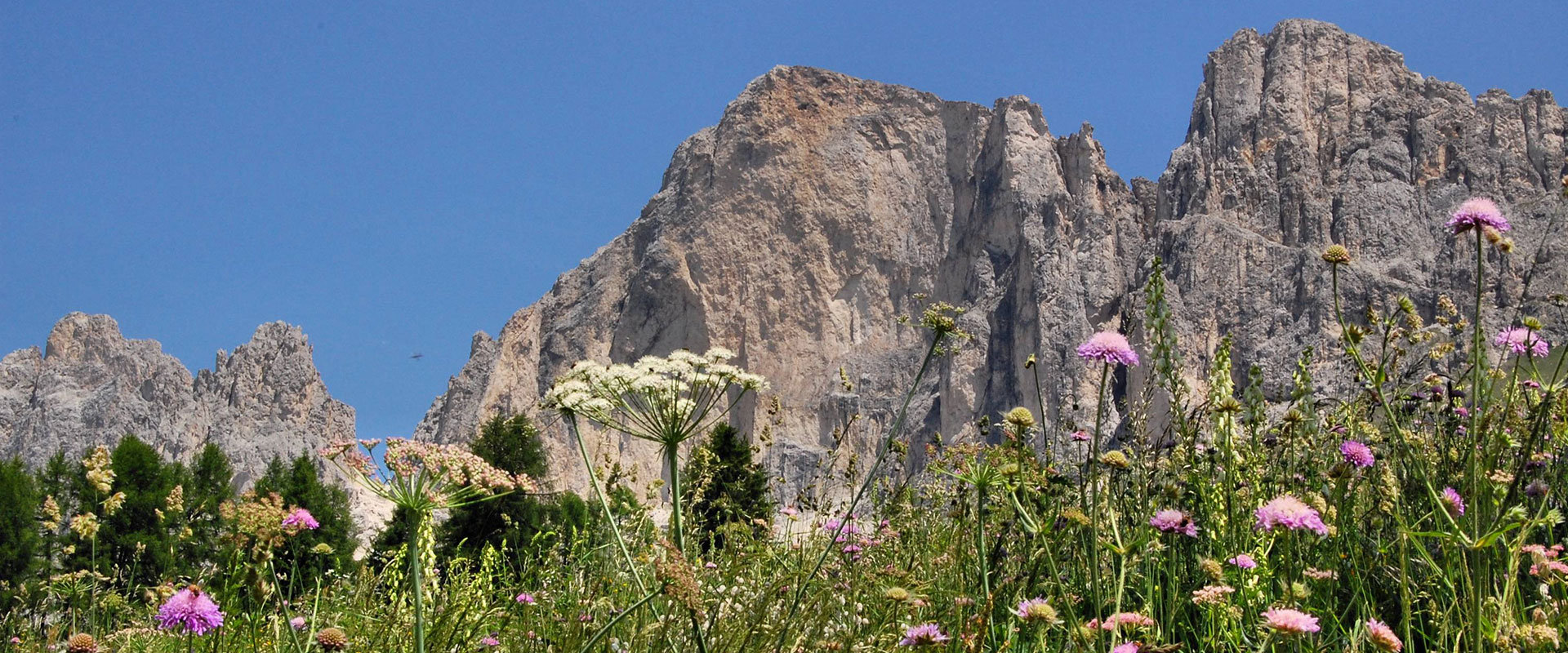 Dolomiten Welschnofen