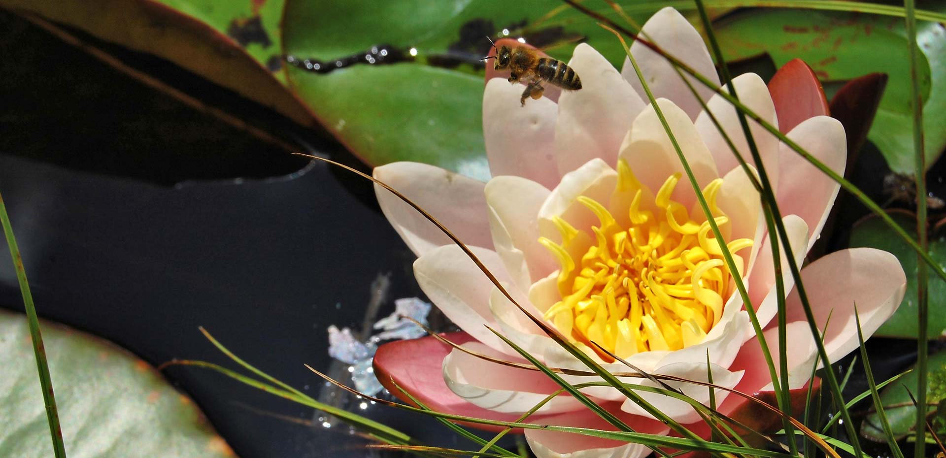 Ferienwohnungen Rosengarten Latemargebiet