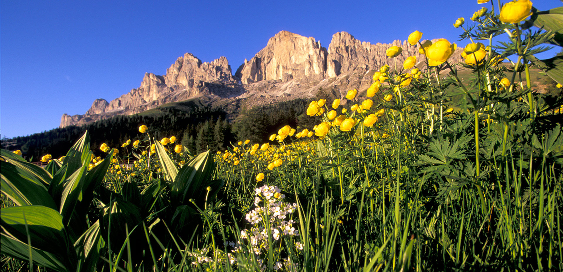 Rosengarten wandern